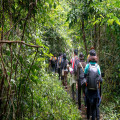 10 tips om jouw vakantie naar Suriname te plannen